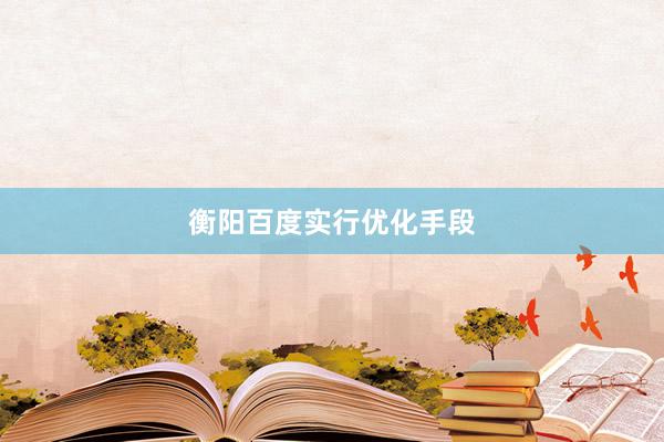 衡阳百度实行优化手段