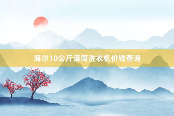海尔10公斤滚筒洗衣机价钱查询