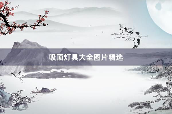 吸顶灯具大全图片精选