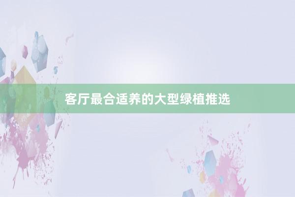 客厅最合适养的大型绿植推选